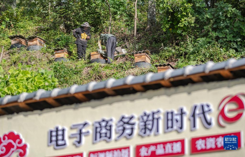 银钻娱乐是现场直播